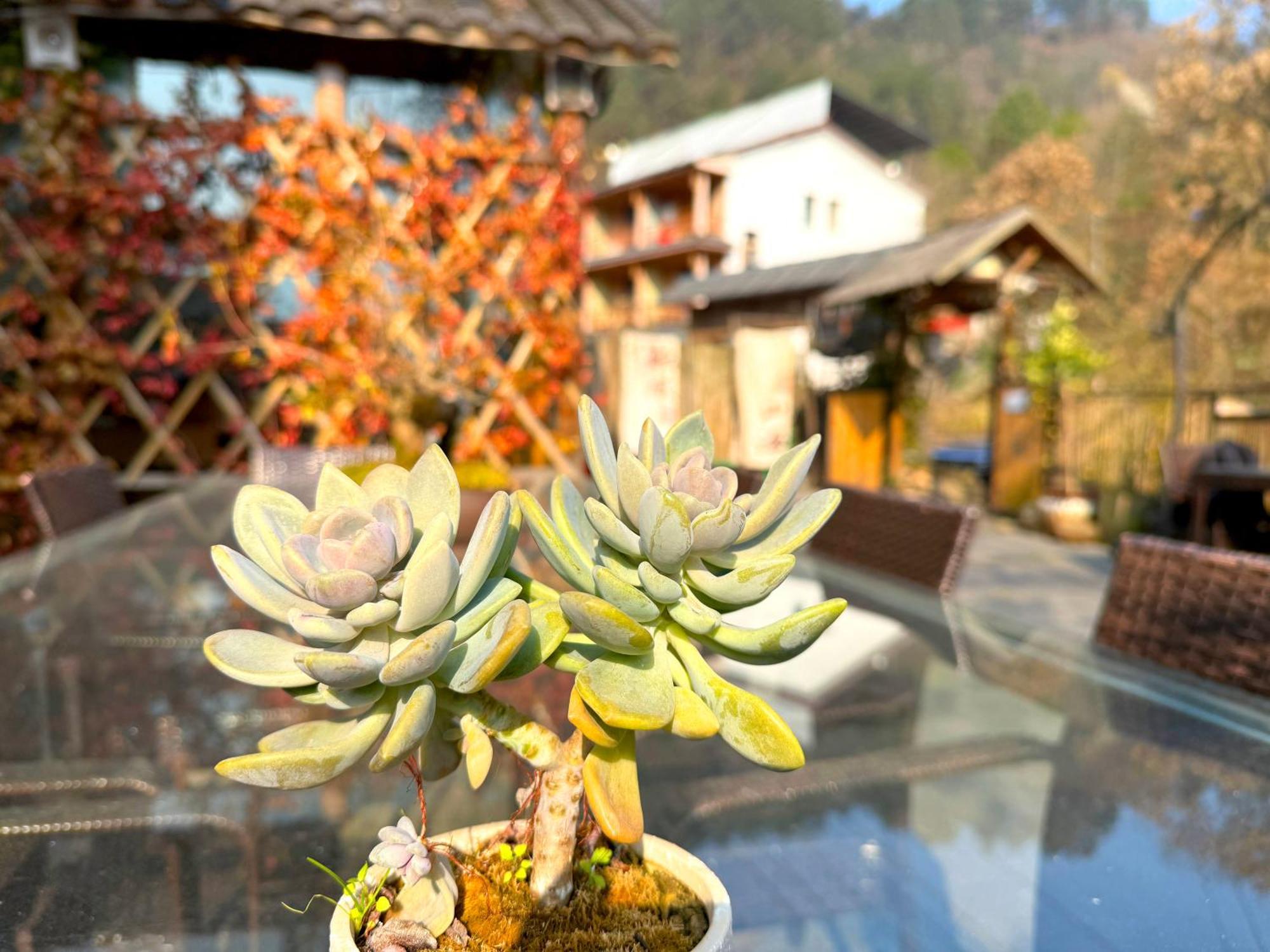 Easy Stay Bajie Hotel  Zhangjiajie Zewnętrze zdjęcie